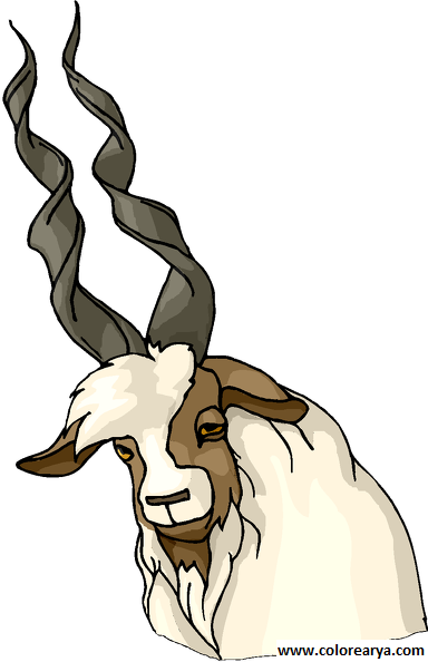 Коза анимация