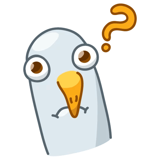 Чайка кричит