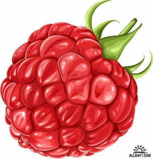 Малинка мультяшный