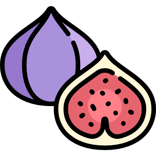 Инжир пиктограмма