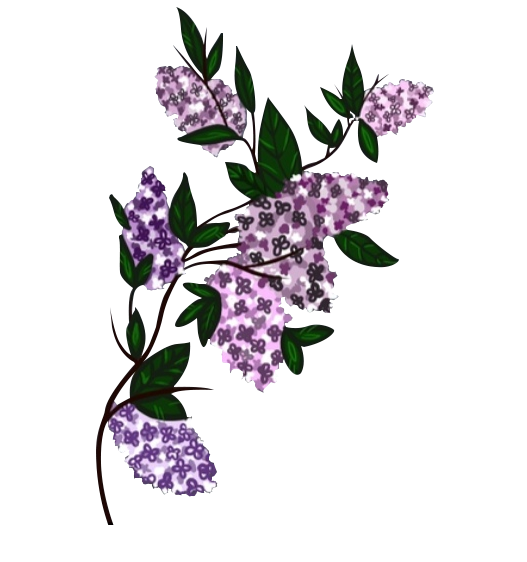 Сирень орнамент