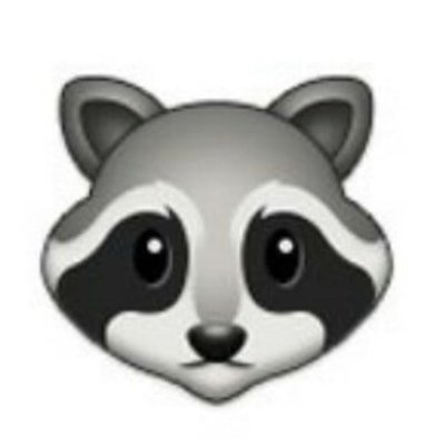 ЭМОДЖИ енота ВК