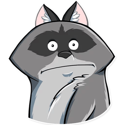 Raccoon Стикеры