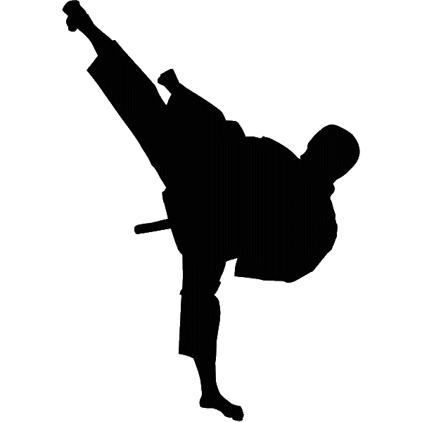 Тень каратиста