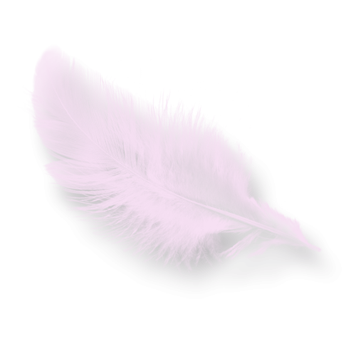 Нежное перышко на прозрачном фоне