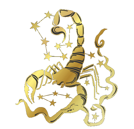 Скорпион на прозрачном фоне