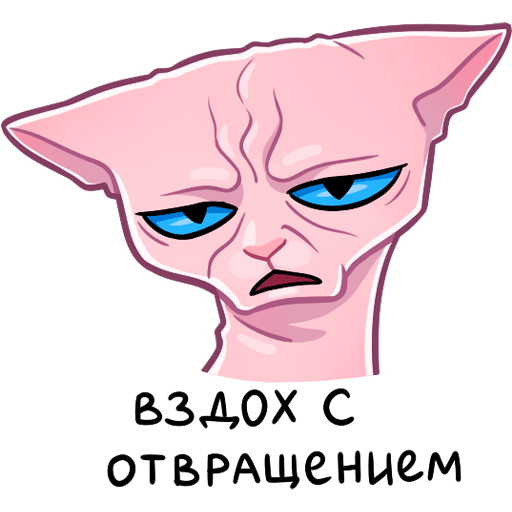 РАМЗЕС Стикеры кот лысый