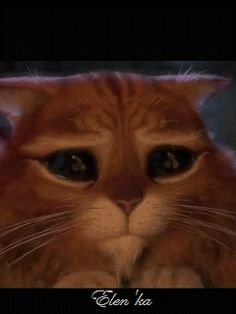 Кот из Шрека