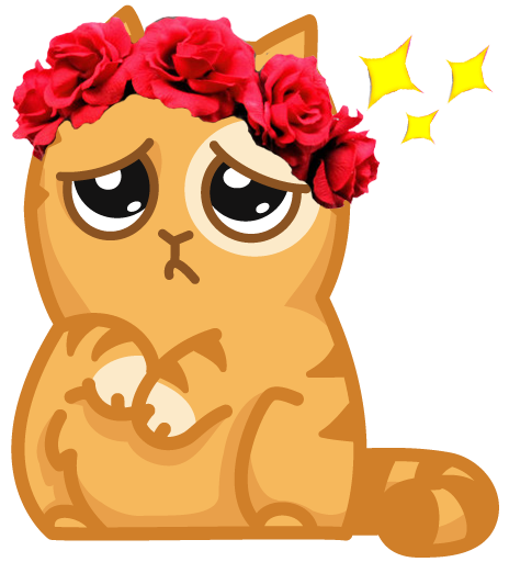 Кот персик грустный