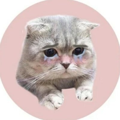 Грустный кот на белом фоне