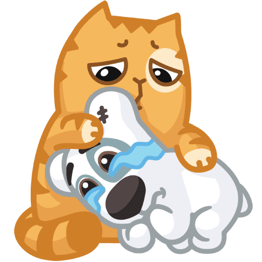 Кот персик и пес Спотти