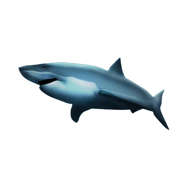 ЭМОДЖИ акула