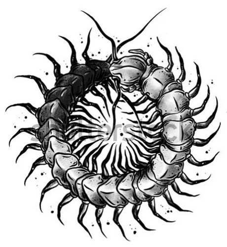 Сколопендра символ