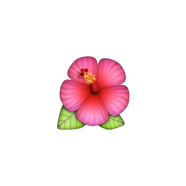 Смайлик цветочек на айфоне