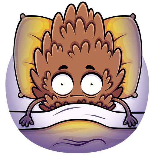 Стикеры шишка братишка