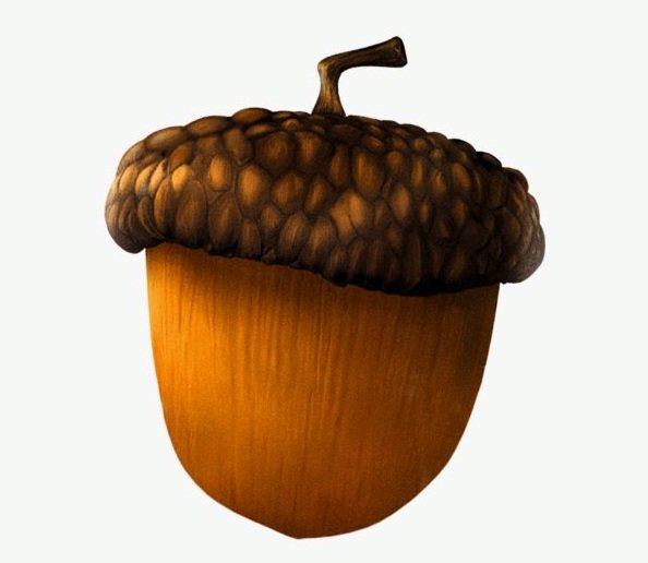 Орешек из ледникового периода