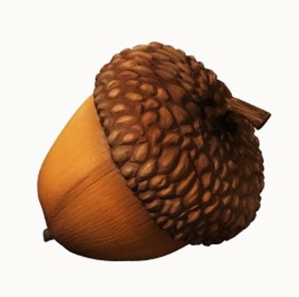 Желудь на английском