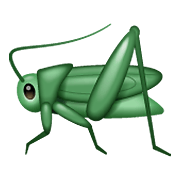 Кузнечик для дошкольников