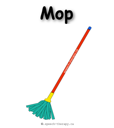 Mop Flashcard