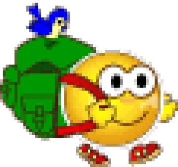 Смайлик турист