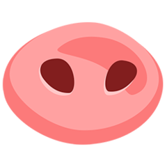 Нос свиньи без фона