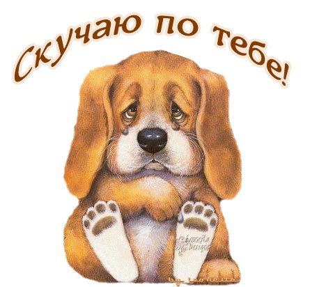 Стикер скучаю по тебе