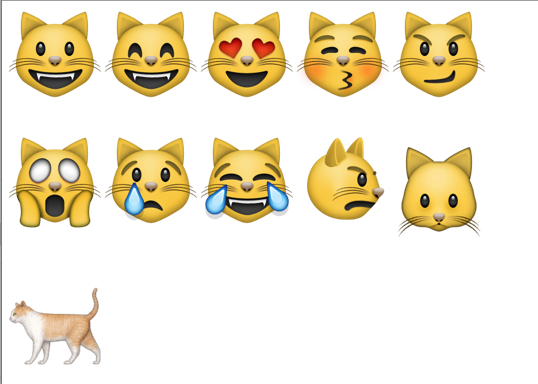 Смайл кошки айфон