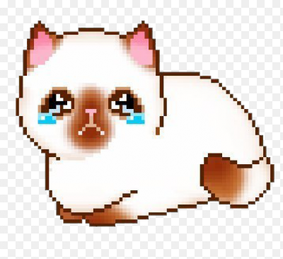 Плачущий пиксельный котик