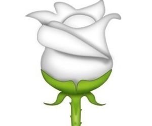 Эмодзи завявшая роза