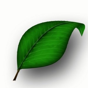 Эмодзи Клевер