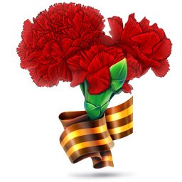 Гвоздики цветы к 9 мая