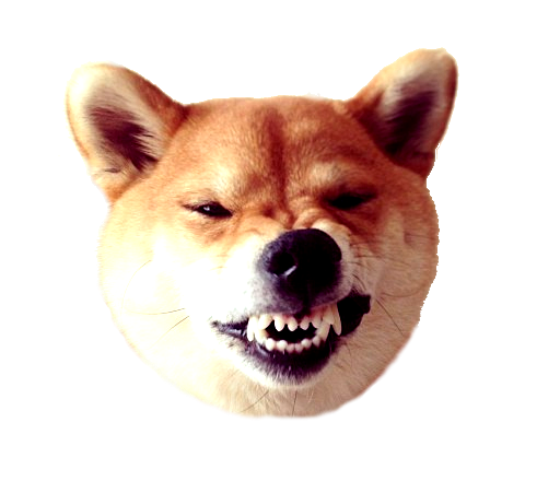 Улыбка собаки