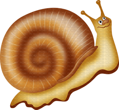 Улитка улыбается