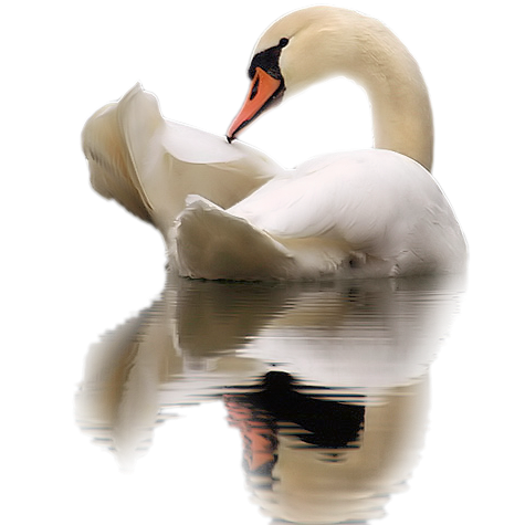 Лебеденок мультяшный