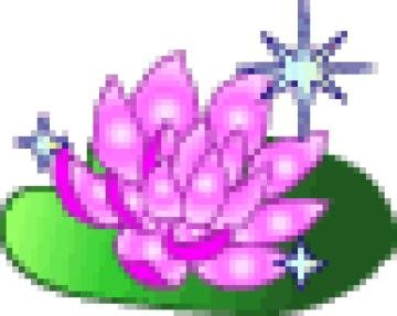 Лотос смайлик цветок