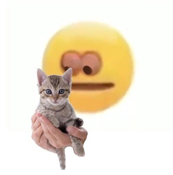 Смайлик с котиком в руке