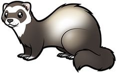 Хорек мультяшный