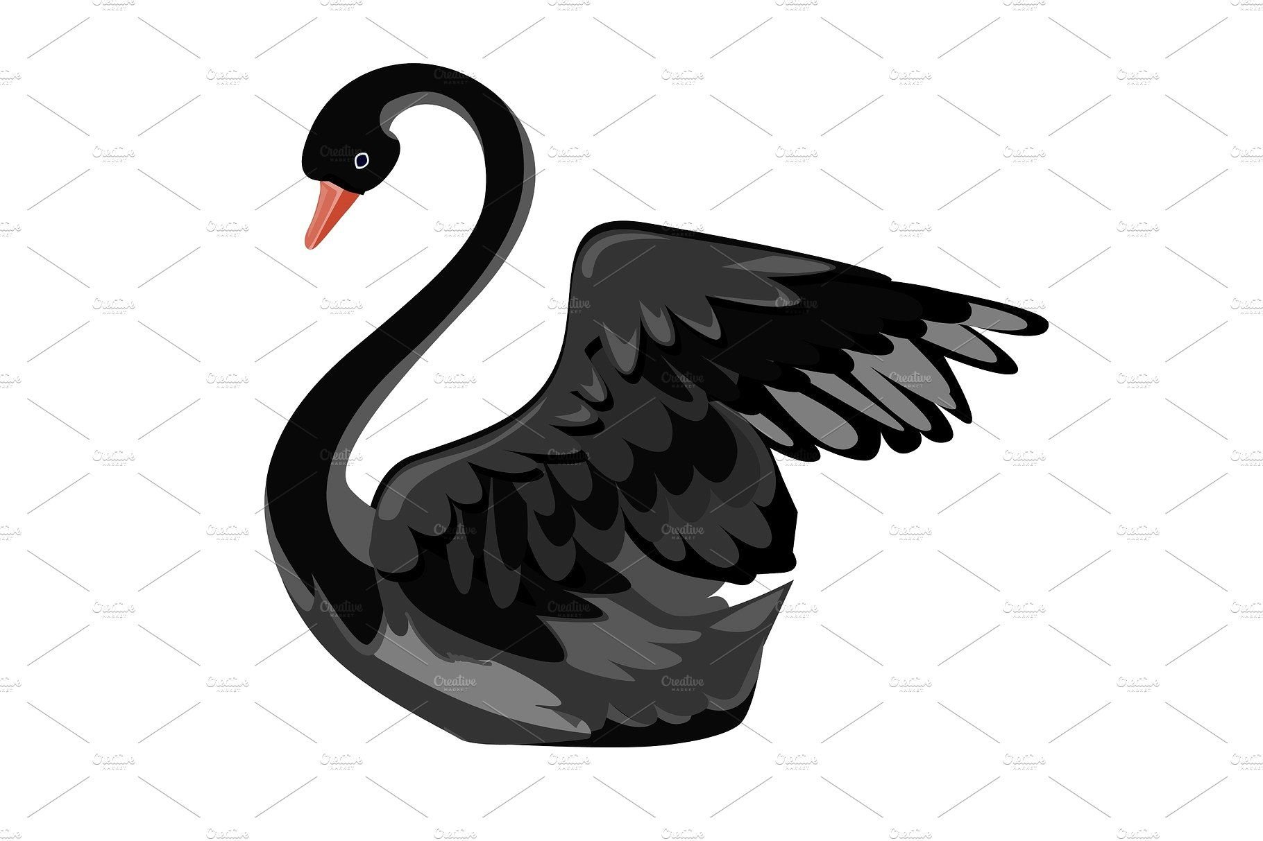 Рисунок белый лебедь на черном фоне