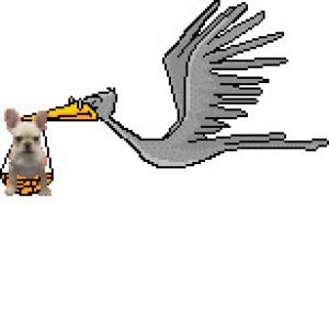 Анимация Аист несет ребенка