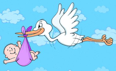 Аист с сыном