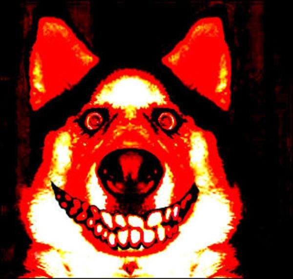 Smiling Dog PNG