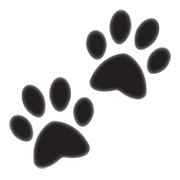 Смайлик следы лап