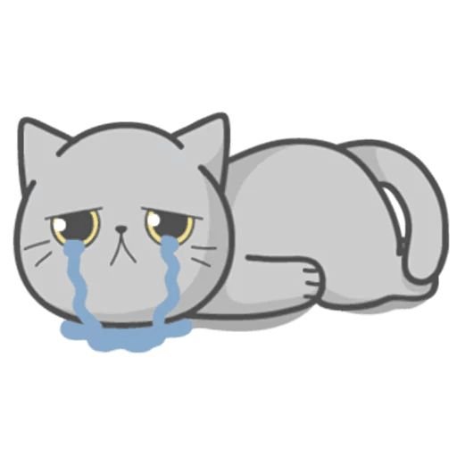 Плачущий котик