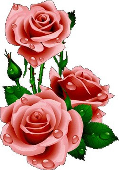 Анимированные цветы на прозрачном фоне