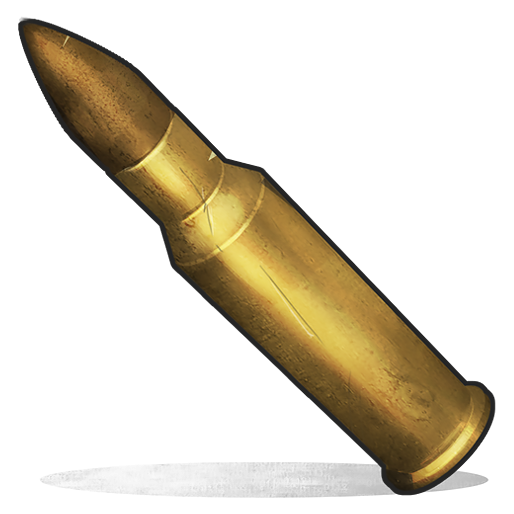 Ammunition патроны 5.56