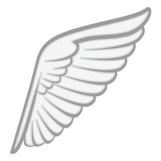 Эмодзи крылышки