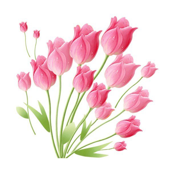 Наклейка тюльпаны