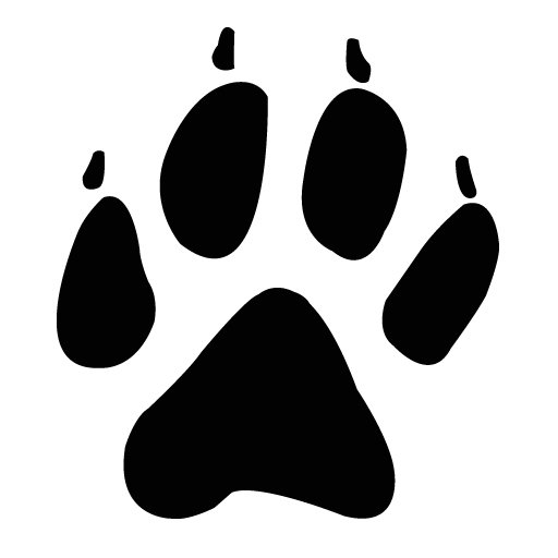 Отпечаток лапы мыши