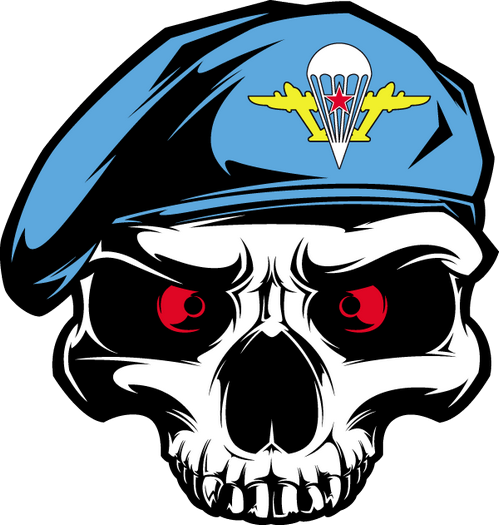 Череп в берете ВДВ