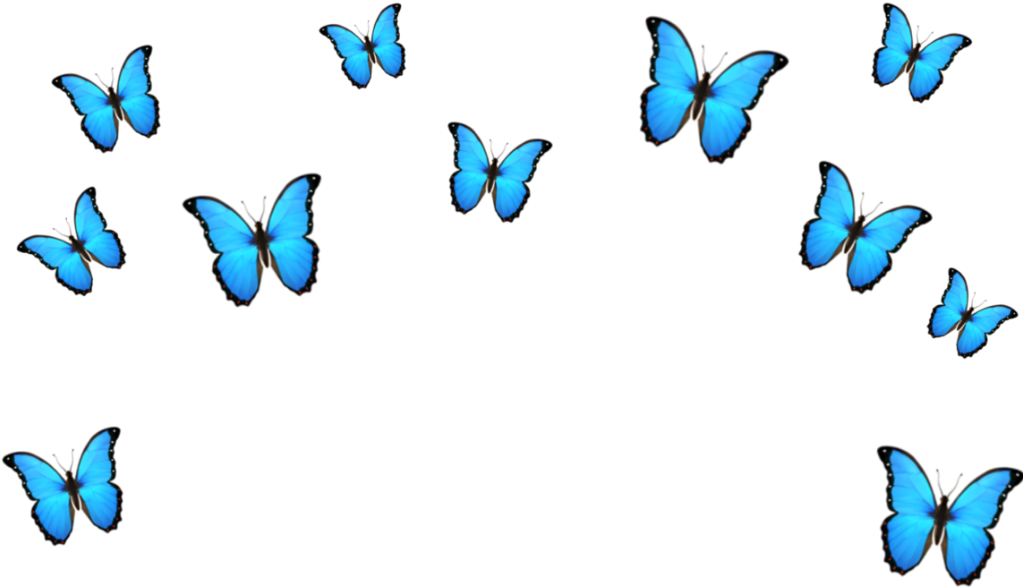 Бабочка над головой. Много бабочек на прозрачном фоне. Синие бабочки на прозрачном фоне. Голубая бабочка на прозрачном фоне. Бабочка без фона.